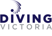 diving vic